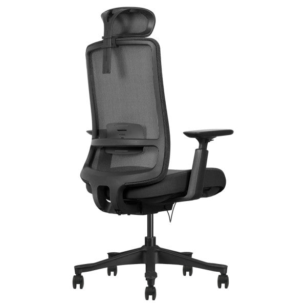 SKILLCHAIRS Ergo Diva SKILLCHAIRS Ergo Diva
